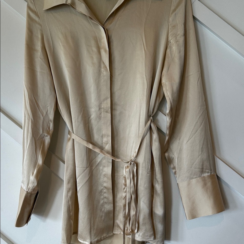 Reformation Silk Button-Up Blouse in Champagne - Picture 7 of 7